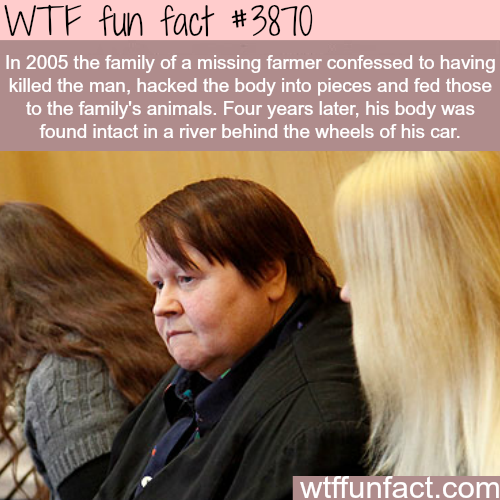 tumblr_nn2u50mQ421roqv59o1_500.png