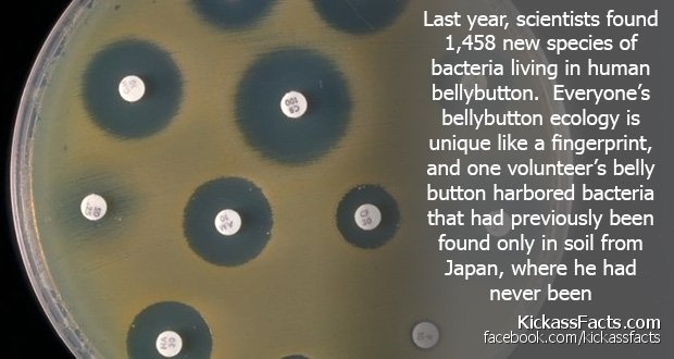 100Bacteria.jpg