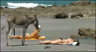 065lqyubs8xx.gif