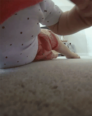 xwkr761jn077.gif