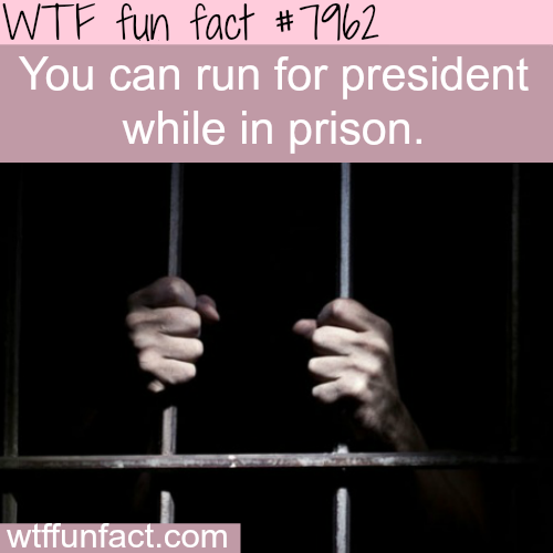 tumblr_owqykoubzA1roqv59o1_500.png