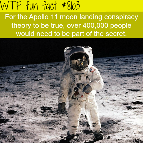 tumblr_oz0ongposr1roqv59o1_500.png
