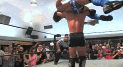 tumblr_n0r1o3wriz1qivspno1_250.gif
