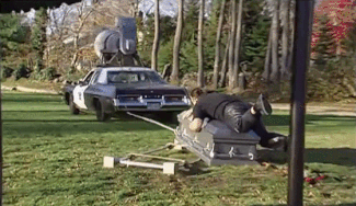 336593.gif