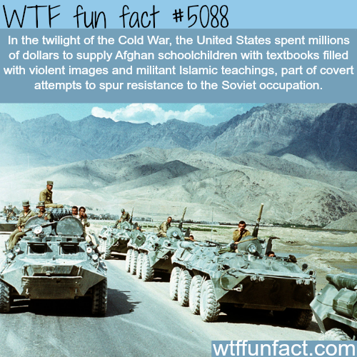 tumblr_o0lwhrSGMj1roqv59o1_500.png