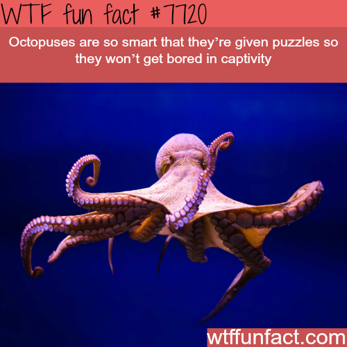 tumblr_otcwk8hdoB1roqv59o1_500.png