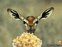 tumblr_o2952insqB1s9t9owo1_250.gif