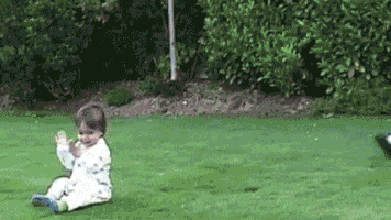 vzktrb7wztv8.gif