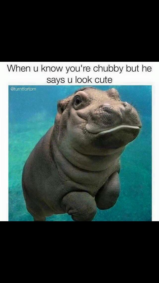 0uc6jnydu2gl.png