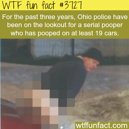 tumblr_nldw88YI0h1roqv59o1_500.png