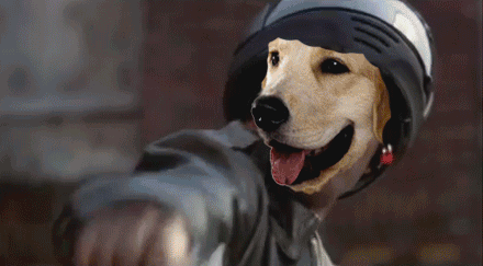 w8bqtwwtw79j.gif