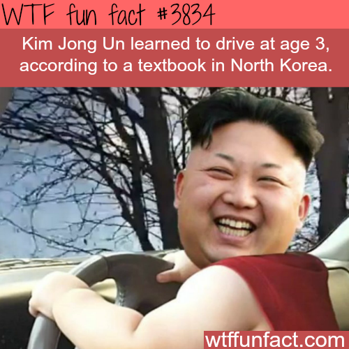 tumblr_nmngfnV2JM1roqv59o1_500.png