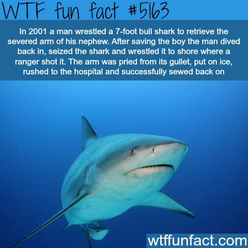 tumblr_o1gxhnHpq21roqv59o1_500.png
