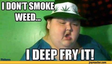 funny-pictures-stoner-humor-auto-fat-people-479124.jpeg