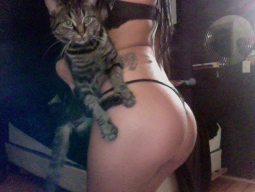 cats-tits-ass-6.jpg