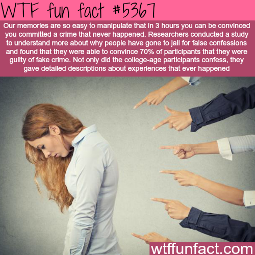 tumblr_o3vsvysB7S1roqv59o1_500.png