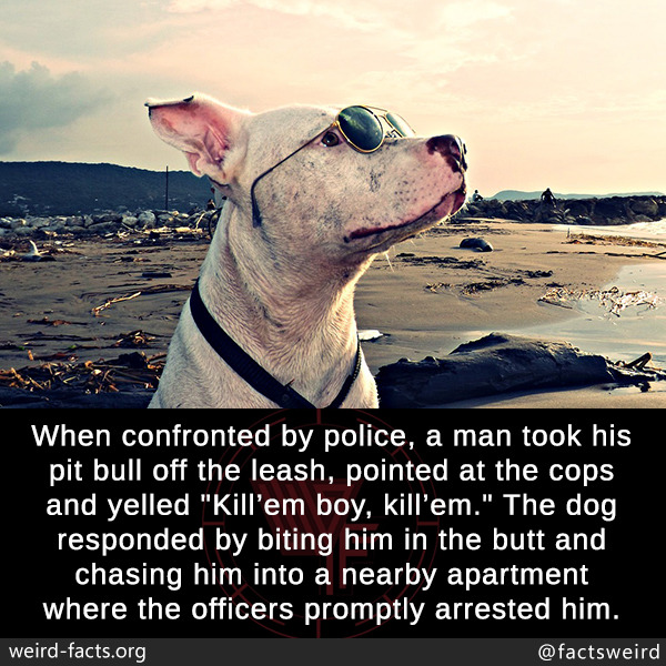 tumblr_p0wj4jMkYL1szqwnwo1_1280.jpg