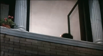wgr4.gif