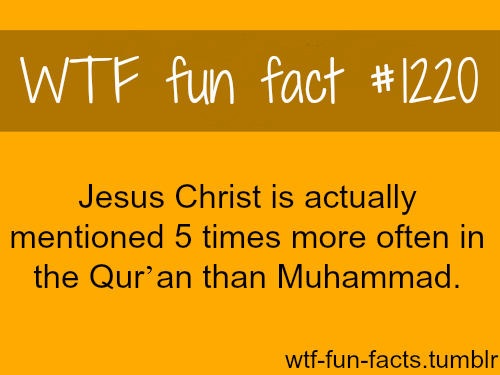 tumblr_miwwa10atW1roqv59o1_500.png