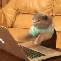 wc19wbh6axz1.gif