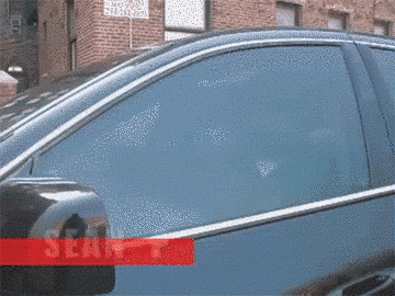 z35alpl8a34u.gif
