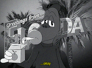 71lxxagboo4t.gif