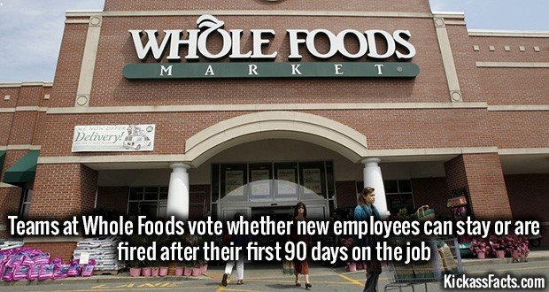 1044-Whole-Foods.jpg