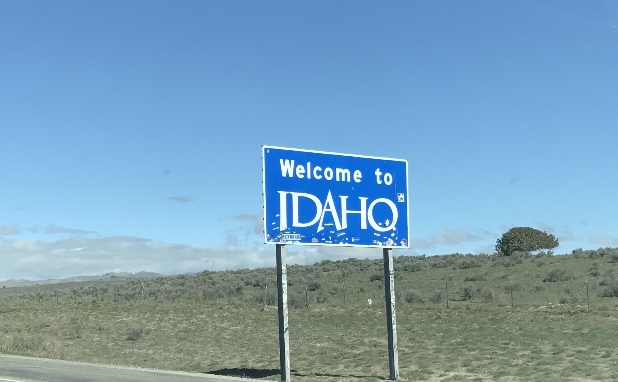 weqwlvajcgwq.jpeg