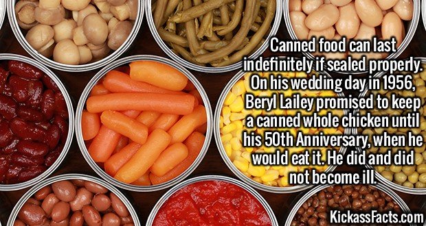 2160-Canned-food.jpg