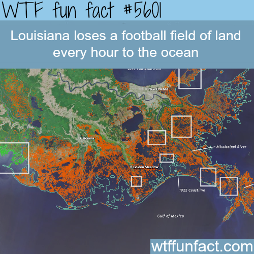 tumblr_o5dn8gXmwi1roqv59o1_500.png