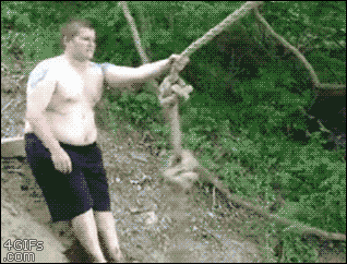 tumblr_nprl5xwoB11tlb56zo1_400.gif