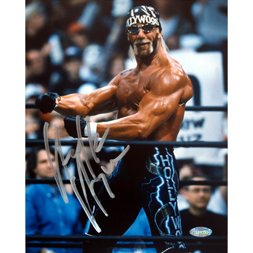 hulkhogan8.jpg