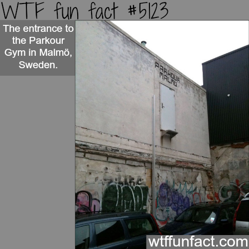 tumblr_o10d6egnoD1roqv59o1_500.png