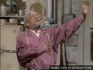 ejzps93cq86h.gif