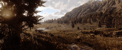 tumblr_ofcs1maoEx1rsntc8o1_500.gif