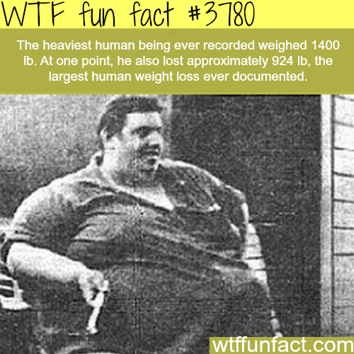 tumblr_nm0furnCrT1roqv59o1_500.png