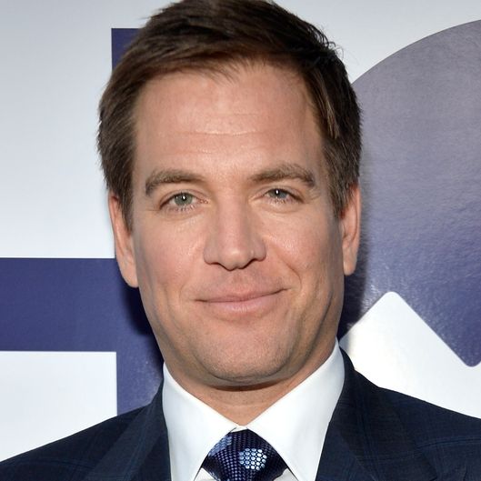 5-michael-weatherly-ncis.w529.h529.jpg