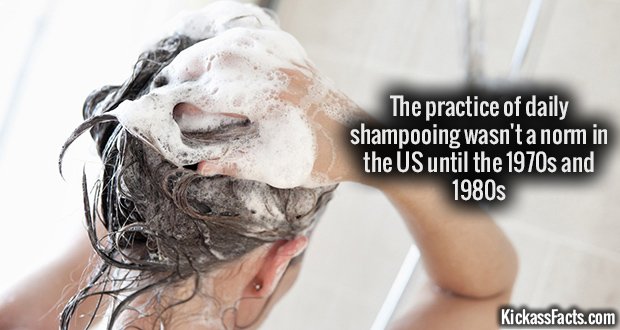 949-Shampooing.jpg