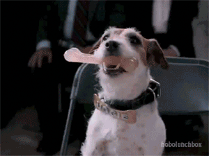tumblr_mcw2d7ZAlE1ry46hlo1_400.gif