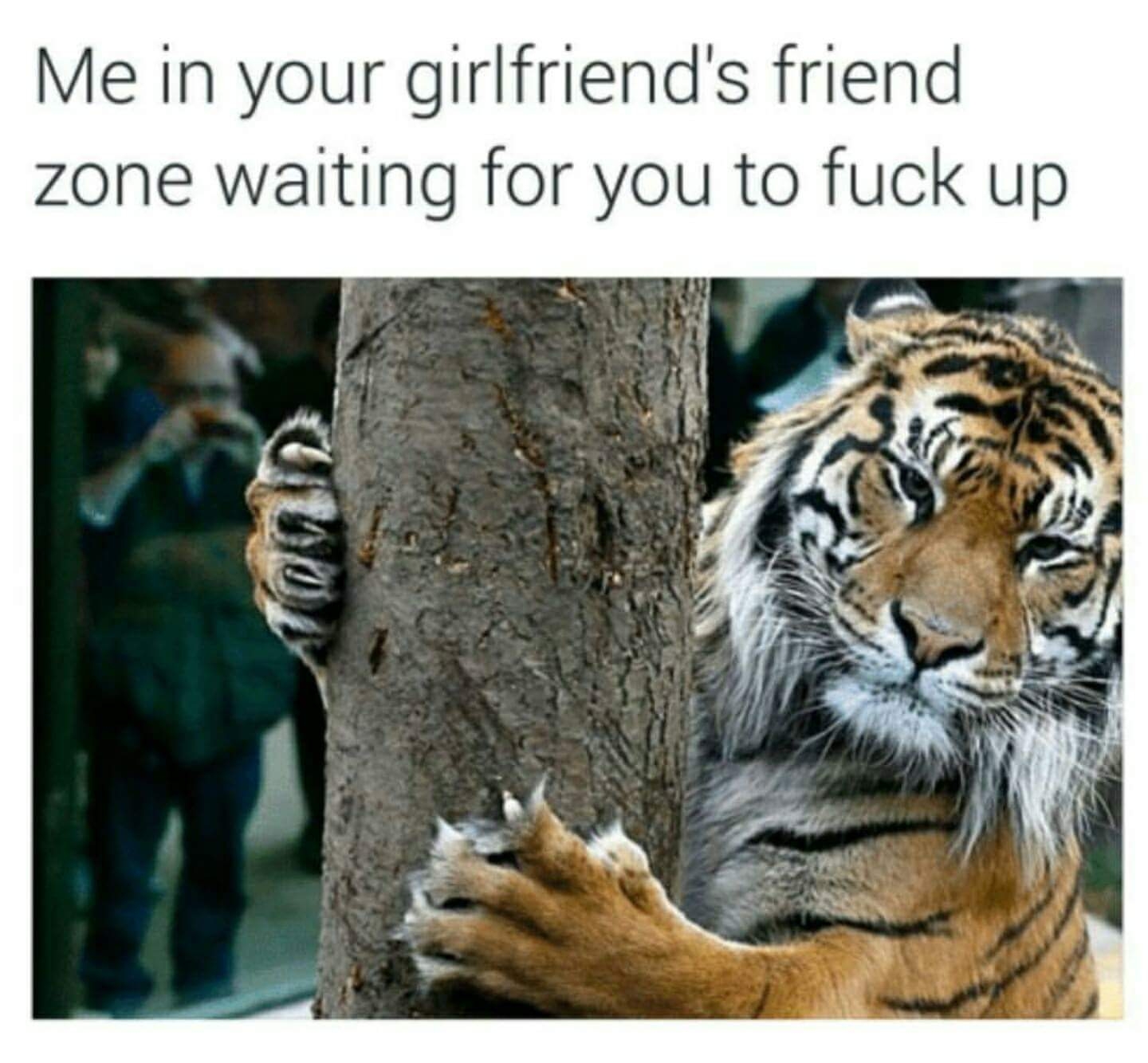 ipnquzq9x2ao.jpg