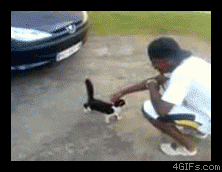 qds0iwie1hg5.gif