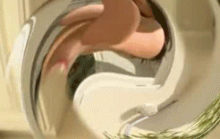 kelly-divine-prelude-7.gif