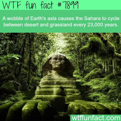 tumblr_ovotye3FDJ1roqv59o1_500.png