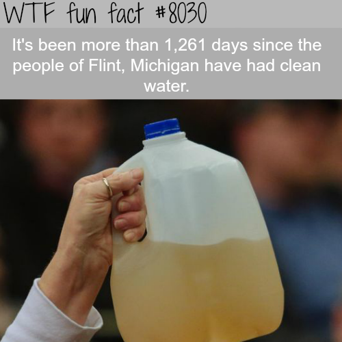 tumblr_oxs4w0vDkf1roqv59o1_500.png