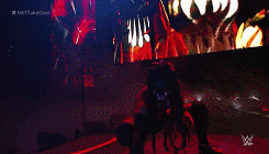 tumblr_o08ymjibh71ql0k28o7_250.gif