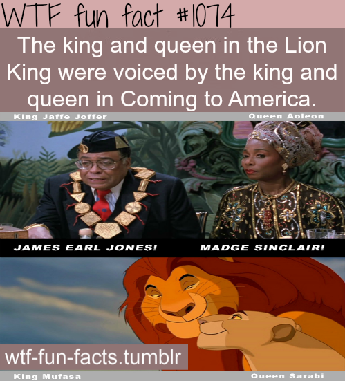 tumblr_mh1q4xE0Gu1roqv59o1_500.png