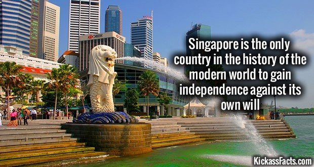 1154-Singapore.jpg