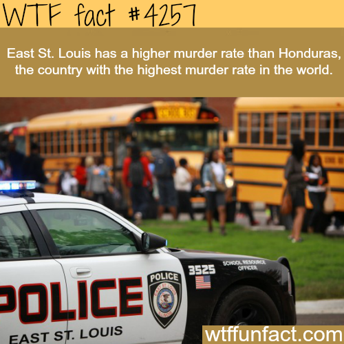 tumblr_nr94q2PzFk1roqv59o1_500.png