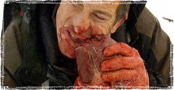 beargrylls.jpg