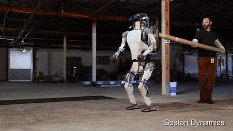 xyDeq5VeiILHq.gif